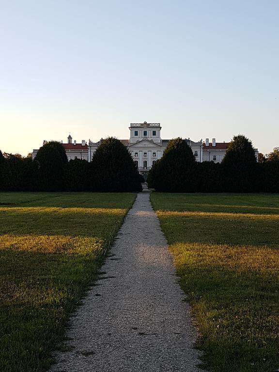 Fertodi Kuria Vendeghaz Hotel Buitenkant foto